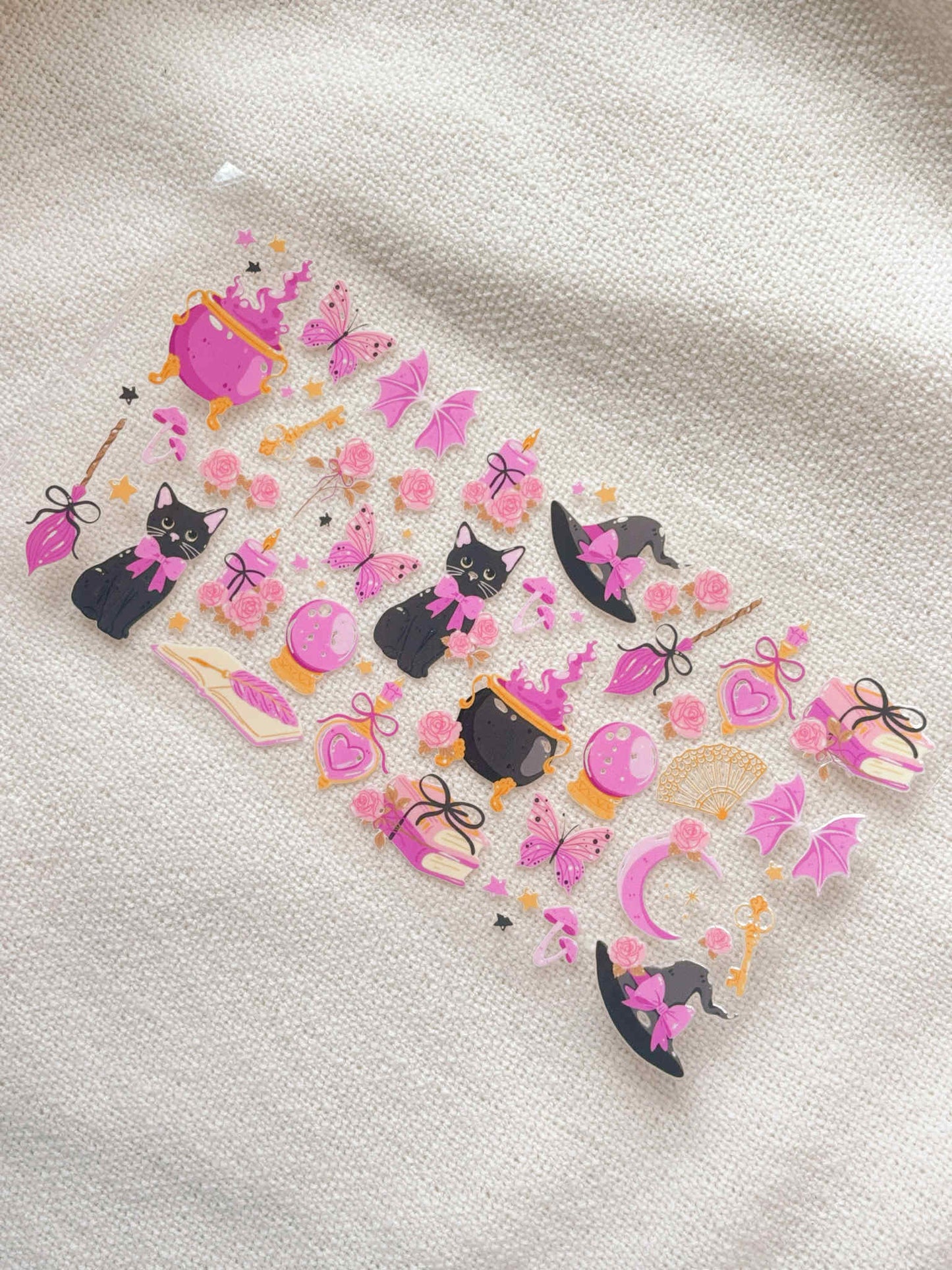 Chatons d’automne